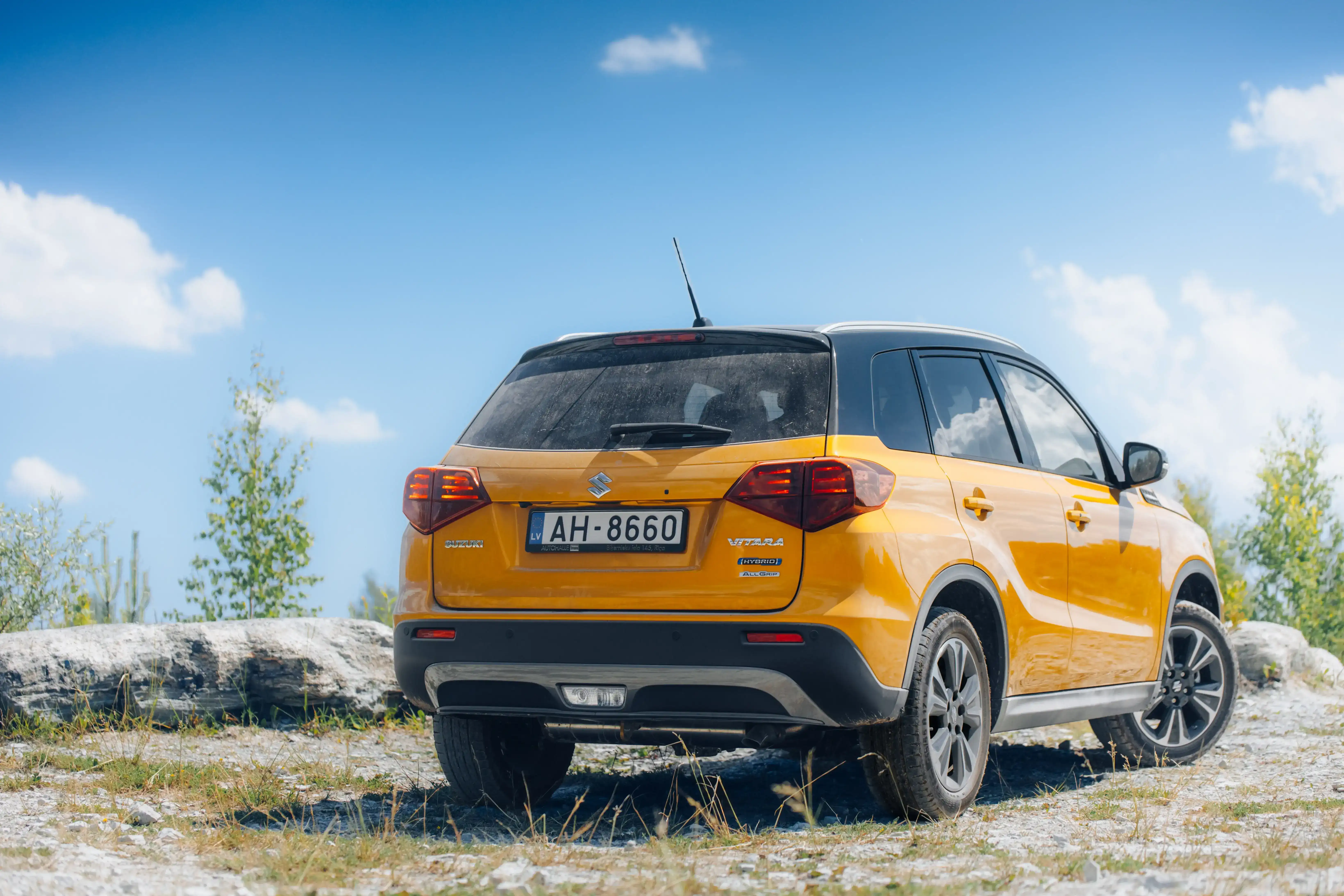 Suzuki Vitara outdoors